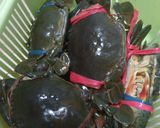 Foto langkah ke 1 dari resep Kepiting saus tiram telur balado.