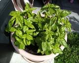Pesto di Basilico e Anacardi