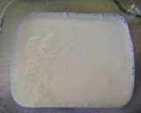 Φωτογραφία βήματος 7 της συνταγής Pannacotta light