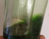 Foto del paso 2 de la receta: Licor de menta