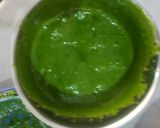 हरा चना की तीखी चटनी (Hara chana ki spicy chutney recipe in hindi) रेसिपी चरण 6 फोटो