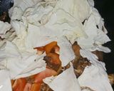 Foto langkah ke 4 dari resep Tongseng Ayam Kampung Tanpa Santan.