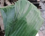 Foto langkah ke 2 dari resep Blencong.