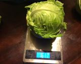 A picture of step 4 of California Farm Young Green Cabbage KimChi.
