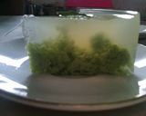 Foto langkah ke 6 dari resep Puding Lumut.