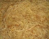 A picture of step 1 of Semiya (Vermicelli) Kheer.
