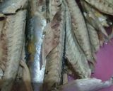 Foto langkah ke 1 dari resep Opor ikan pindang tongkol.