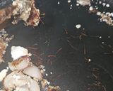 Foto del paso 2 de la receta: Gallineta en salsa de azafrán