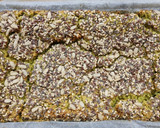 Foto del paso 6 de la receta: 🫛Pan de arvejas 🫛sin harinas 🫛 #SinTacc