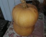 Foto del paso 1 de la receta: Dulce de zapallo