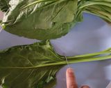 પાલક પાત્રા (Palak Patra recipe in Gujarati) રેસીપી સ્ટેપ1ફોટો