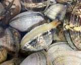 Foto del paso 4 de la receta: Almejas en salsa Montilla Moriles