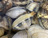 Foto del paso 4 de la receta: Almejas en salsa Montilla Moriles