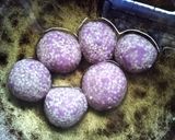 Foto langkah ke 5 dari resep Onde-Onde Pelangi Isi Kacang Merah.