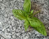 Foto del paso 1 de la receta: Salsa filetto 🇺🇾