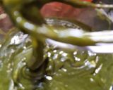 A picture of step 4 of Matcha green chocolate bars.