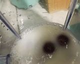 Foto langkah ke 2 dari resep Frape Yakult.
