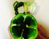 A picture of step 3 of Kid-Friendly Sliced Bell Pepper Meat Stuffing.