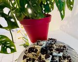 Une image de l'étape 6 de Fudges aux Oreo’s 🥰.