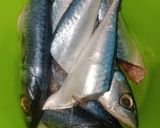 Foto langkah ke 1 dari resep 23. Tumis Ikan Sarden.