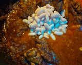 A picture of step 5 of Greek Lamb and Cabbage Bowls.