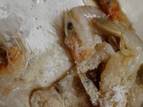 Sambal Ganja (Udang Asam Manis)