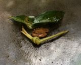 Foto langkah ke 4 dari resep Kering Tempe Kriuk.