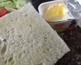 વેજ.સેન્ડવીચ(Veg. Sandwich In Gujarati) રેસીપી સ્ટેપ3ફોટો