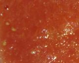 Foto del paso 3 de la receta: Boloñesa Mixta