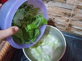 Sayur Bayam Labu Kelor