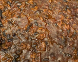 Foto del paso 7 de la receta: Chile con carne 🌮🇲🇽🌯🫔