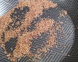 Foto del paso 2 de la receta: Hummus de garbanzos