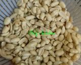 Foto langkah ke 3 dari resep Kacang bawang empuk & tidak berminyak.