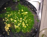 A picture of step 5 of Dill leaves sabji(shepu chi bhaji).