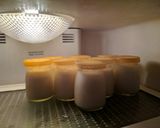 Foto langkah ke 6 dari resep Yakult Homemade.
