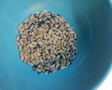 Foto del paso 2 de la receta: Pan Integral con semillas. Receta mejorada!