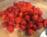 Une image de l'étape 1 de Sauces aux piments antillais, oignons, persil, ail, carottes et galanga.