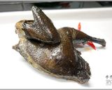 鹽焗烏骨雞 【oh野!好食雞】的食譜步驟9照片