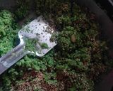 A picture of step 5 of Tuvar paratha.