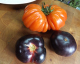 Foto del paso 1 de la receta: Fuente de tomates Monterrosa y tomates azules con rúcula
