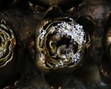 Foto del paso 5 de la receta: Alcachofas al horno