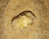 Foto del paso 3 de la receta: Coliflor rebozados