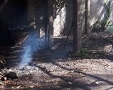 Foto del paso 3 de la receta: Curanto De Adrogué