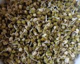 સ્પાઉટસ ઉત્તપમ (Sprouts Uttapam Recipe In Gujarati) રેસીપી સ્ટેપ1ફોટો