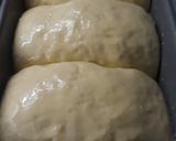 Foto langkah ke 7 dari resep Soft Japanese Hokkaido Milk Bread.