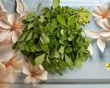 A picture of step 1 of Creamy Lasooni Methi.