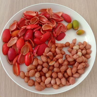Langkah 1
