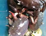 Foto langkah ke 1 dari resep Kepiting masak sederhana.