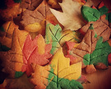 Foto del paso 7 de la receta: Galletas Hojas de Otoño
