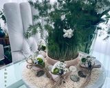 عکس مرحله 4 از دستور هفت سین ۱۴۰۱
